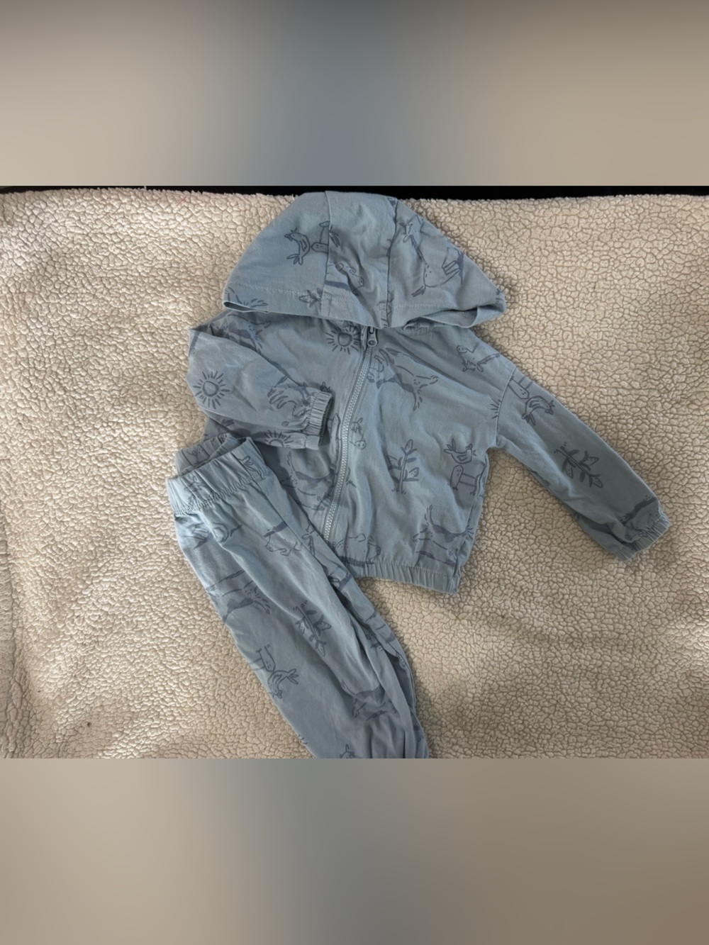 Carter's Pale Blue Hoodie set with Navy Sketch Accents